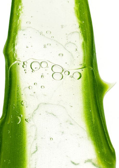 ALOE VERA
