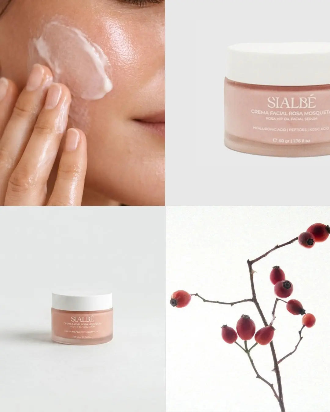 Crema Facial de Rosa Mosqueta de SIALBÉ, 50 g: nutre y mejora la elasticidad de la piel seca o madura, imagen 3