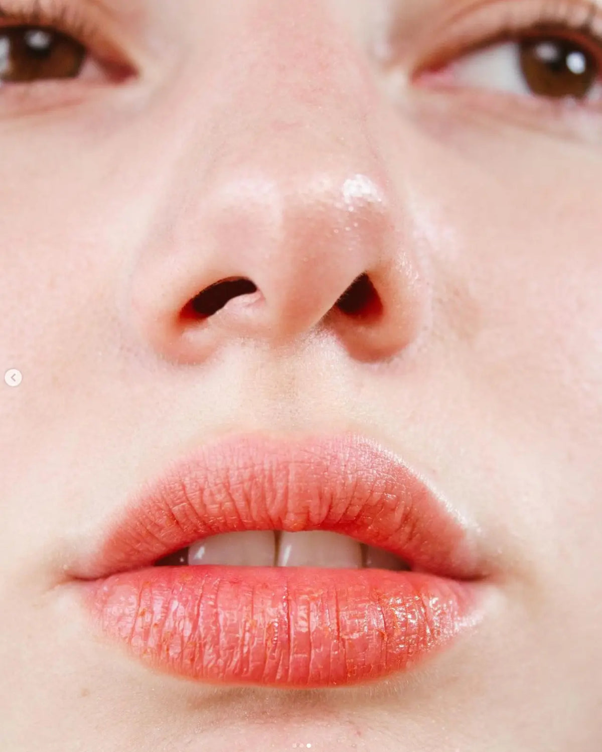 Bálsamo multiusos Rojo Ladrillo de SIALBÉ: color modulable para labios, mejillas y párpados con karité y cacao, imagen 3