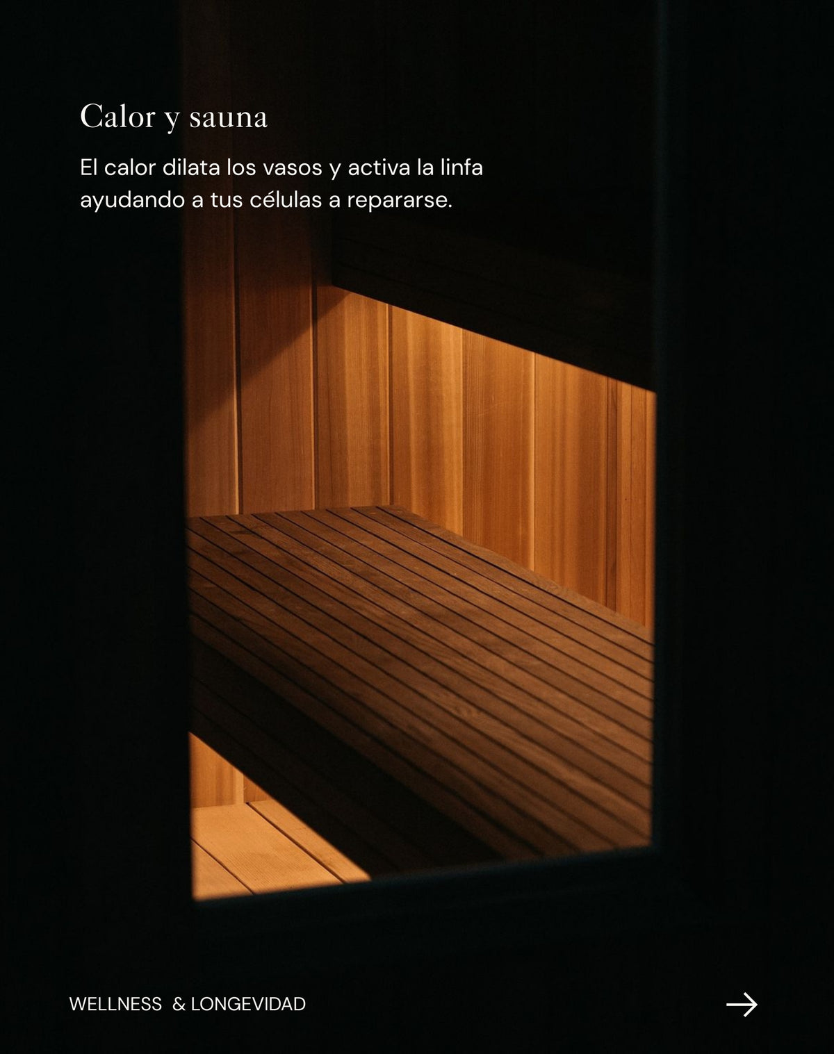Cabina de spa en madera cálida