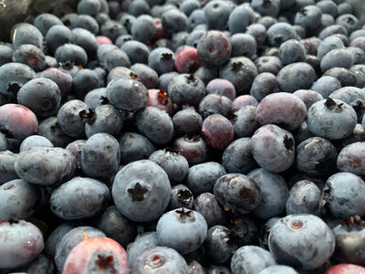 EXTRACTO DE MORAS AZULES