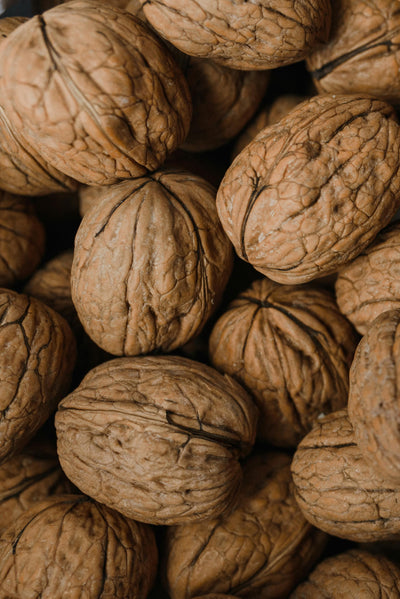 MACADAMIA